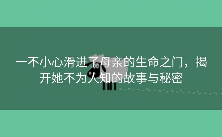 一不小心滑进了母亲的生命之门，揭开她不为人知的故事与秘密