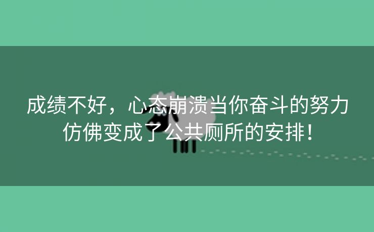 成绩不好，心态崩溃当你奋斗的努力仿佛变成了公共厕所的安排！