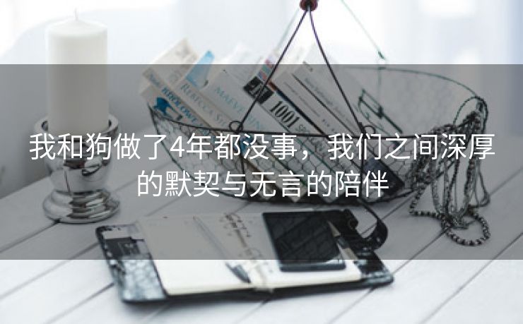 我和狗做了4年都没事，我们之间深厚的默契与无言的陪伴