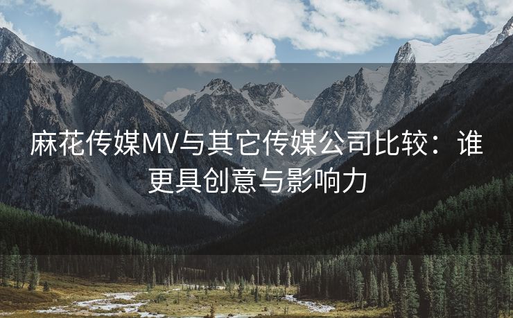 麻花传媒MV与其它传媒公司比较：谁更具创意与影响力