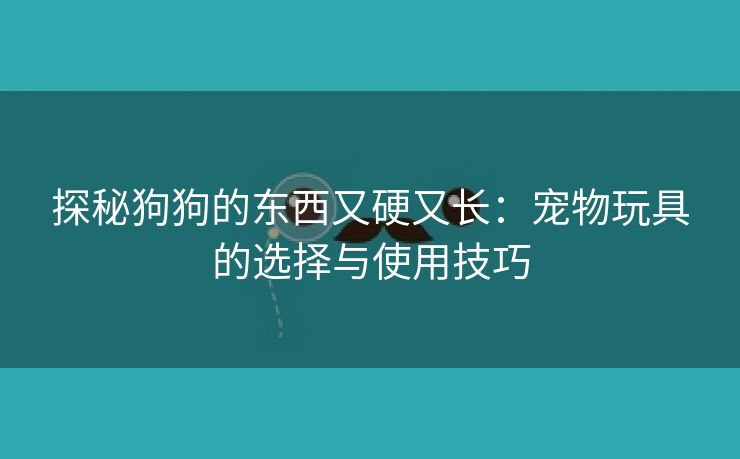 探秘狗狗的东西又硬又长：宠物玩具的选择与使用技巧