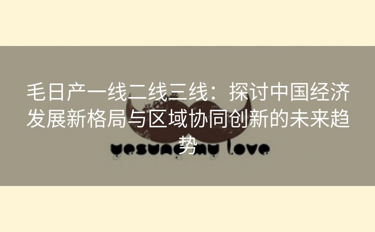 毛日产一线二线三线：探讨中国经济发展新格局与区域协同创新的未来趋势