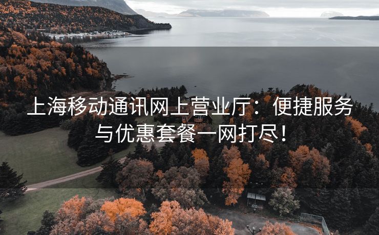 上海移动通讯网上营业厅：便捷服务与优惠套餐一网打尽！