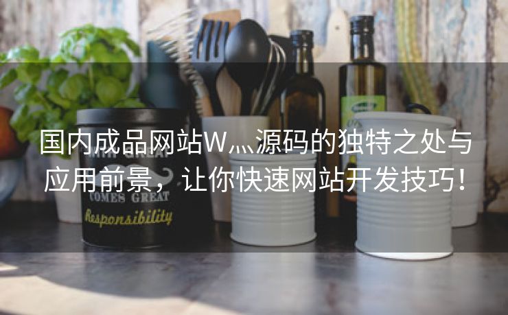 国内成品网站W灬源码的独特之处与应用前景，让你快速网站开发技巧！