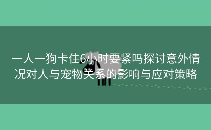 一人一狗卡住6小时要紧吗探讨意外情况对人与宠物关系的影响与应对策略