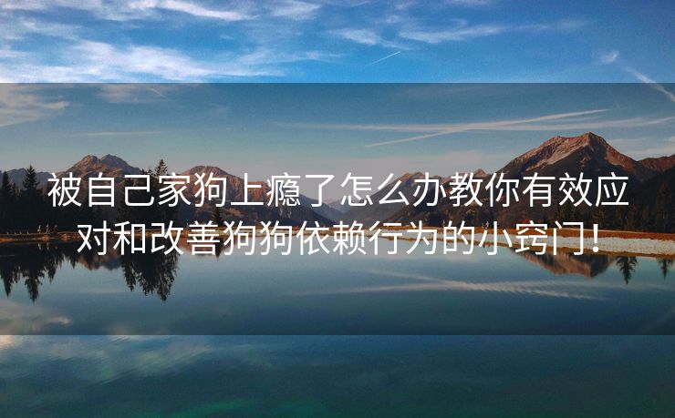 被自己家狗上瘾了怎么办教你有效应对和改善狗狗依赖行为的小窍门！