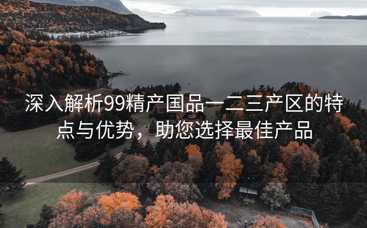 深入解析99精产国品一二三产区的特点与优势，助您选择最佳产品