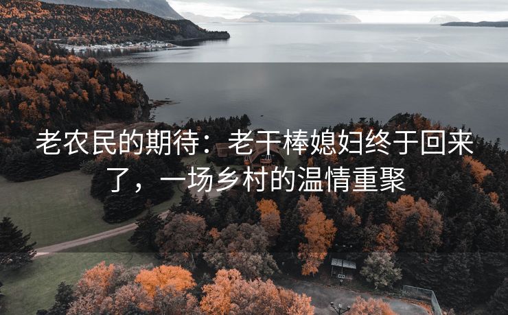 老农民的期待：老干棒媳妇终于回来了，一场乡村的温情重聚