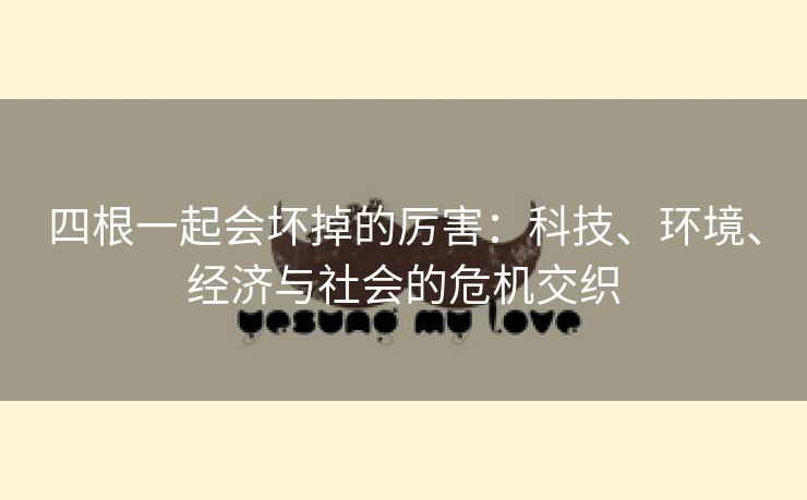 四根一起会坏掉的厉害：科技、环境、经济与社会的危机交织