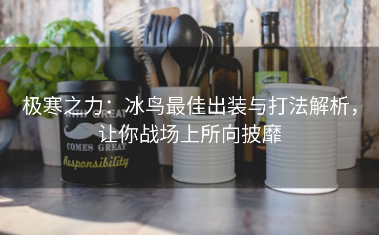 极寒之力：冰鸟最佳出装与打法解析，让你战场上所向披靡