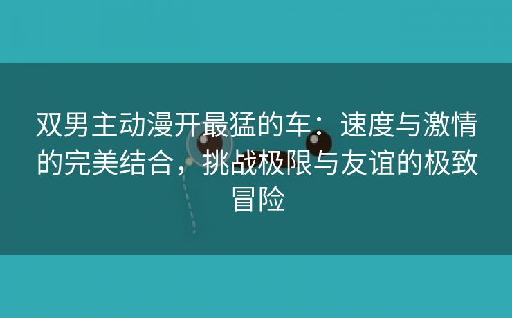 双男主动漫开最猛的车：速度与激情的完美结合，挑战极限与友谊的极致冒险