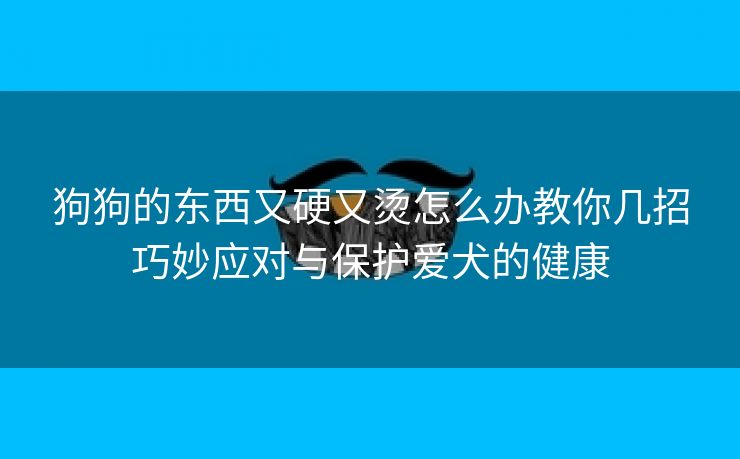 狗狗的东西又硬又烫怎么办教你几招巧妙应对与保护爱犬的健康