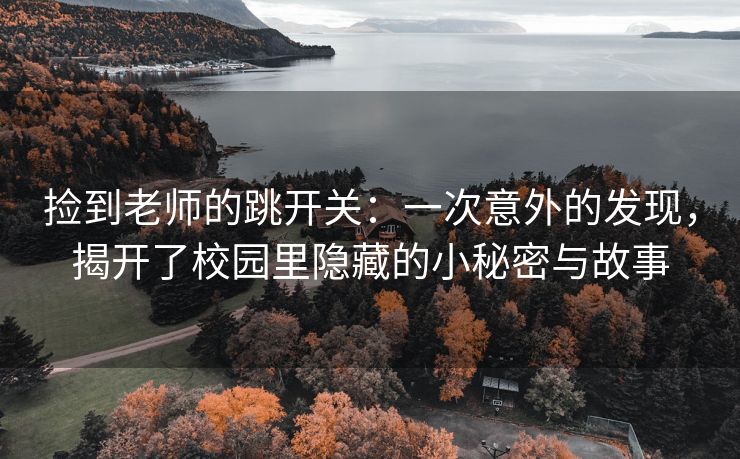 捡到老师的跳开关：一次意外的发现，揭开了校园里隐藏的小秘密与故事