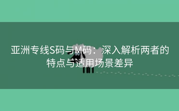 亚洲专线S码与M码：深入解析两者的特点与适用场景差异