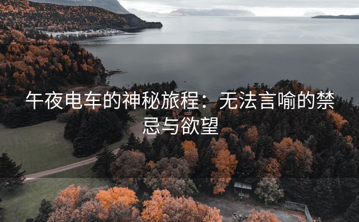 午夜电车的神秘旅程：无法言喻的禁忌与欲望