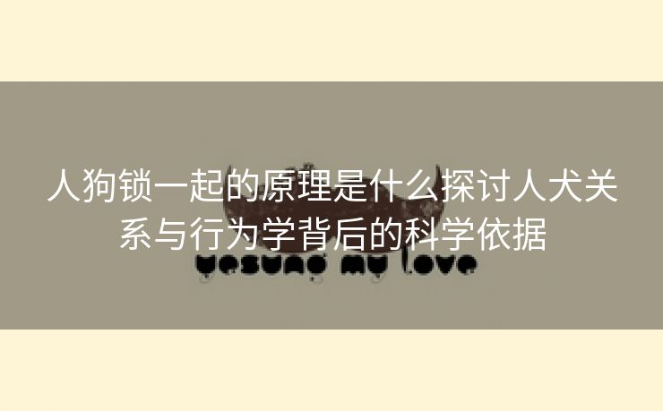 人狗锁一起的原理是什么探讨人犬关系与行为学背后的科学依据