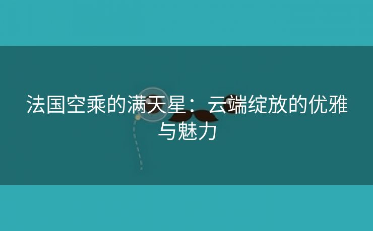 法国空乘的满天星：云端绽放的优雅与魅力