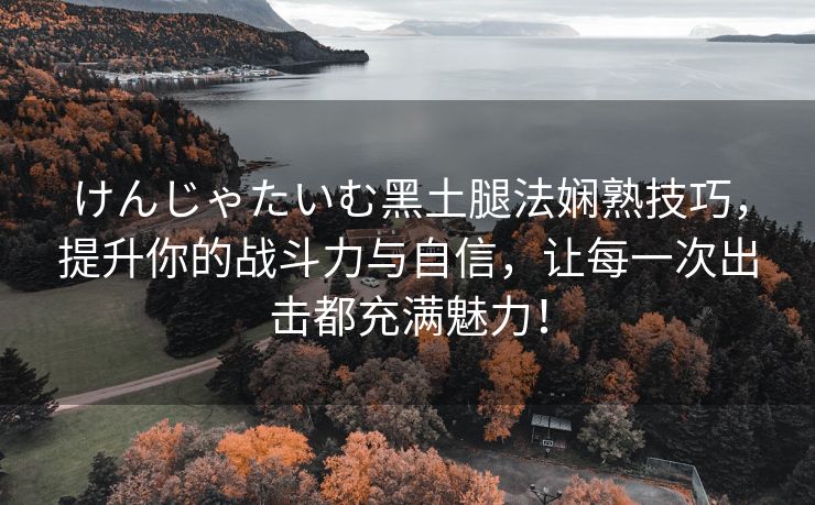 けんじゃたいむ黑土腿法娴熟技巧，提升你的战斗力与自信，让每一次出击都充满魅力！