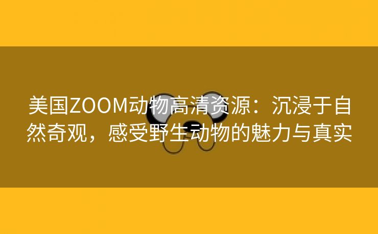 美国ZOOM动物高清资源：沉浸于自然奇观，感受野生动物的魅力与真实