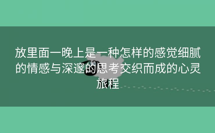 放里面一晚上是一种怎样的感觉细腻的情感与深邃的思考交织而成的心灵旅程