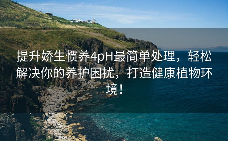 提升娇生惯养4pH最简单处理，轻松解决你的养护困扰，打造健康植物环境！