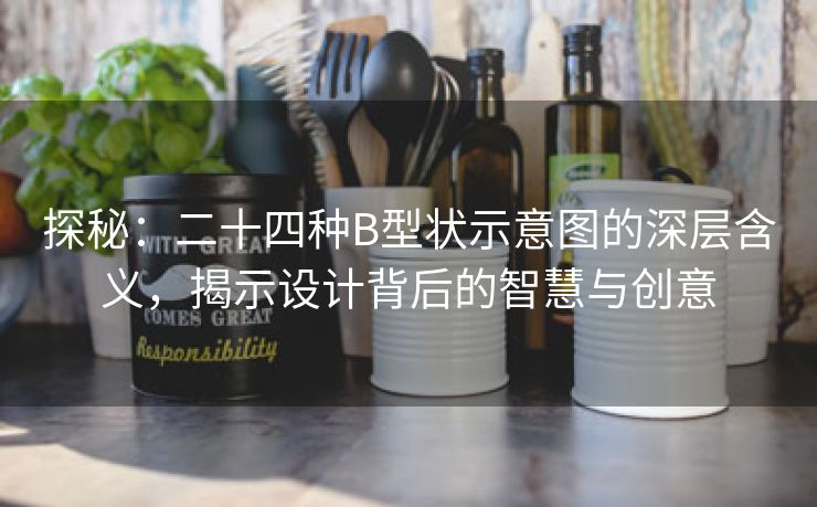 探秘：二十四种B型状示意图的深层含义，揭示设计背后的智慧与创意