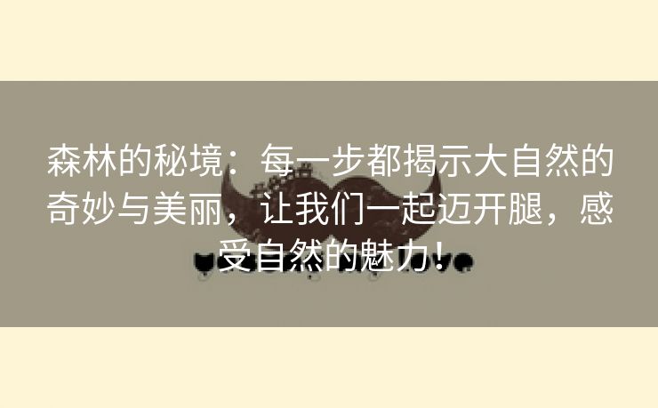 森林的秘境：每一步都揭示大自然的奇妙与美丽，让我们一起迈开腿，感受自然的魅力！