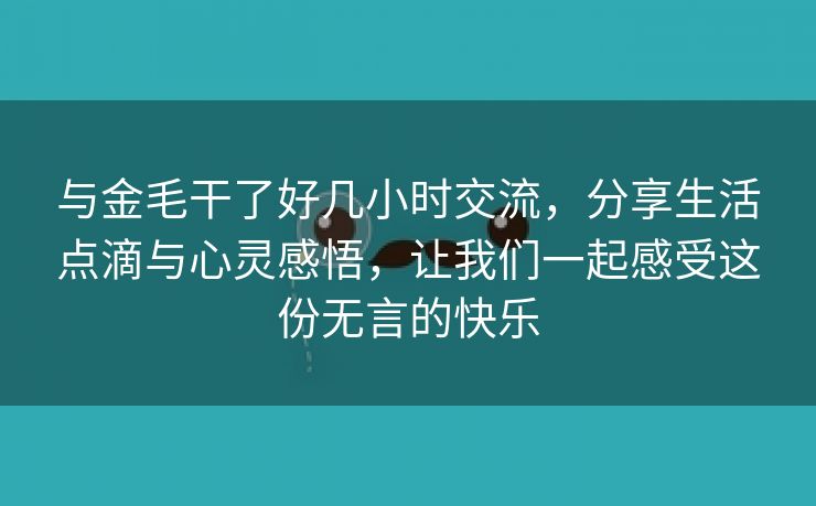 与金毛干了好几小时交流，分享生活点滴与心灵感悟，让我们一起感受这份无言的快乐