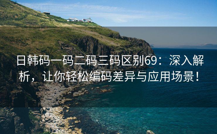 日韩码一码二码三码区别69：深入解析，让你轻松编码差异与应用场景！