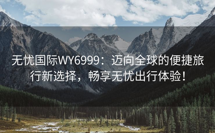 无忧国际WY6999：迈向全球的便捷旅行新选择，畅享无忧出行体验！