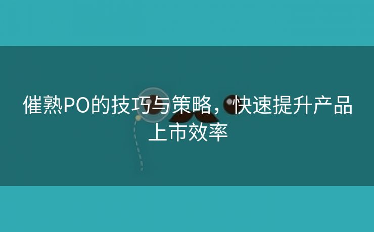 催熟PO的技巧与策略，快速提升产品上市效率