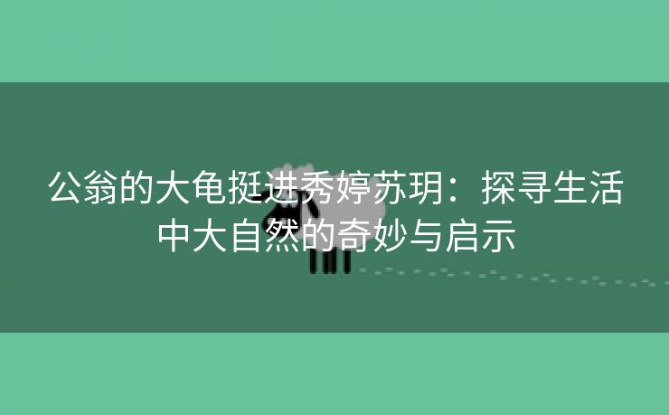 公翁的大龟挺进秀婷苏玥：探寻生活中大自然的奇妙与启示