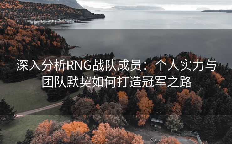 深入分析RNG战队成员：个人实力与团队默契如何打造冠军之路