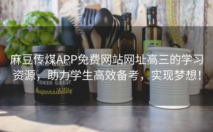 麻豆传煤APP免费网站网址高三的学习资源，助力学生高效备考，实现梦想！