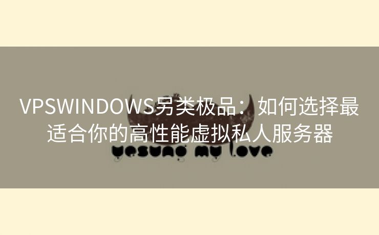 VPSWINDOWS另类极品：如何选择最适合你的高性能虚拟私人服务器