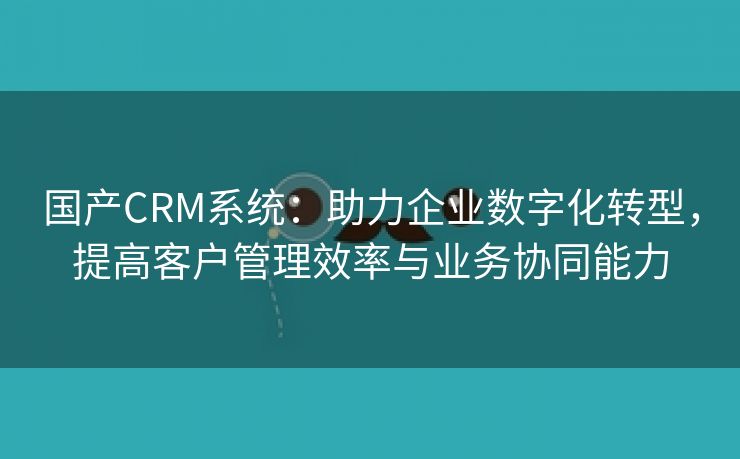 国产CRM系统：助力企业数字化转型，提高客户管理效率与业务协同能力