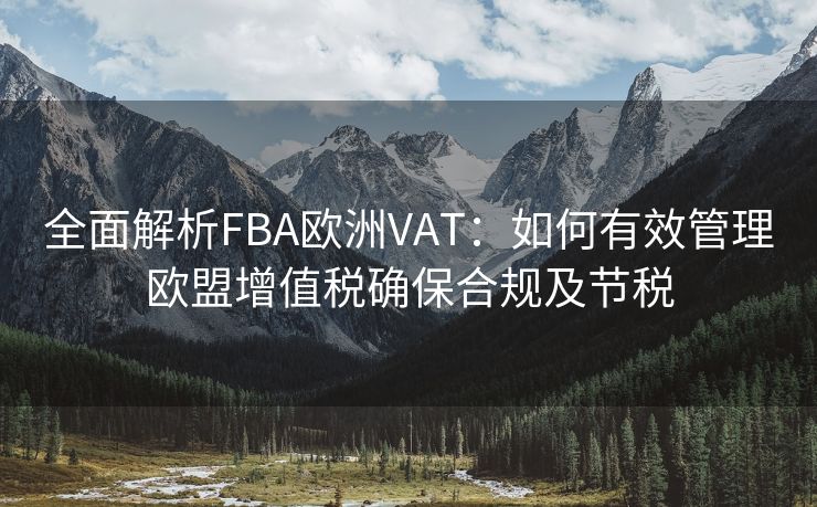 全面解析FBA欧洲VAT：如何有效管理欧盟增值税确保合规及节税