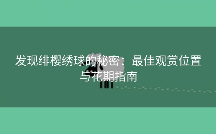 发现绯樱绣球的秘密：最佳观赏位置与花期指南