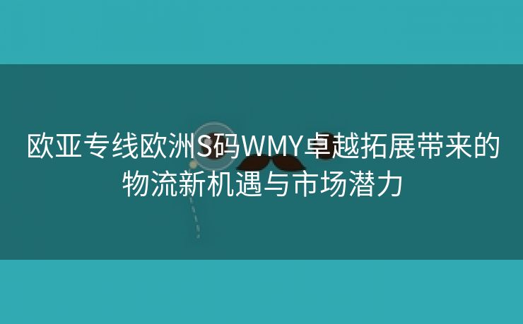 欧亚专线欧洲S码WMY卓越拓展带来的物流新机遇与市场潜力