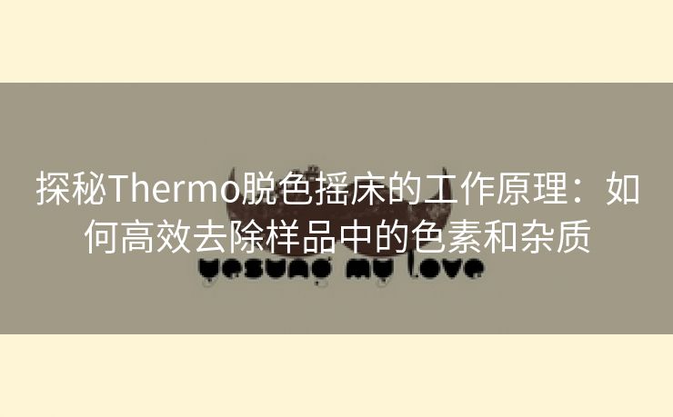 探秘Thermo脱色摇床的工作原理：如何高效去除样品中的色素和杂质