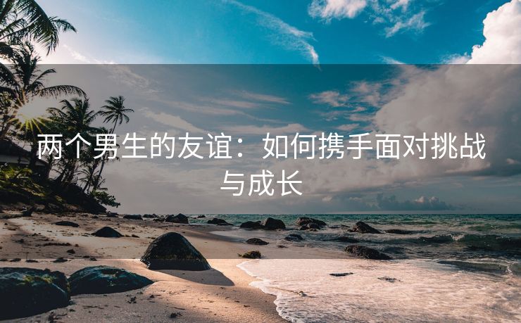 两个男生的友谊：如何携手面对挑战与成长