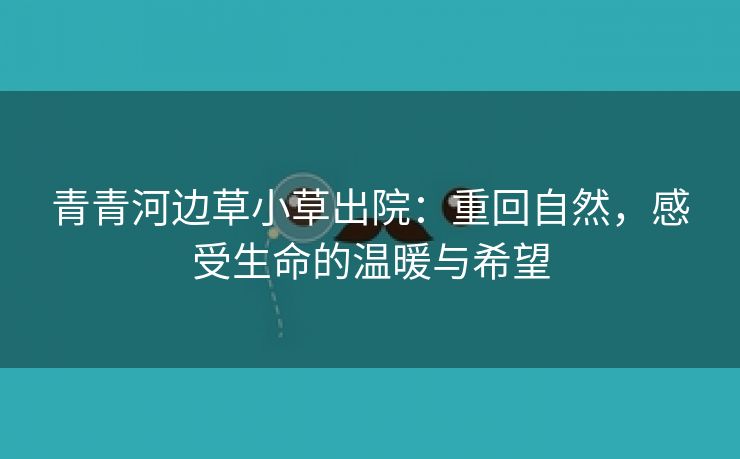 青青河边草小草出院：重回自然，感受生命的温暖与希望