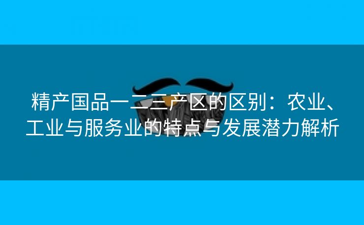 精产国品一二三产区的区别：农业、工业与服务业的特点与发展潜力解析